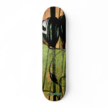 The Listening Fog-orange skateboards