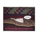 The Little Cat Who Wanted a Big Dog Bed postcards