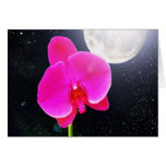 The Little Flower Cards