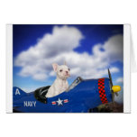 The little pilot cards