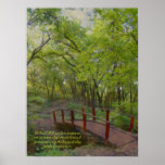 The Little Red Bridge poster posters