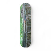 The Lizard Board! skateboards