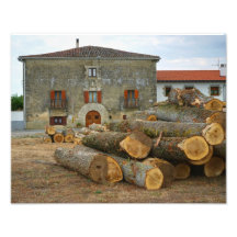 The Logs and the House Photo