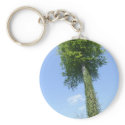 The Lollipop Tree keychains