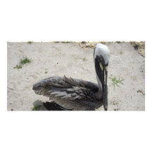 The Lonely Pelican Customized Photo Card