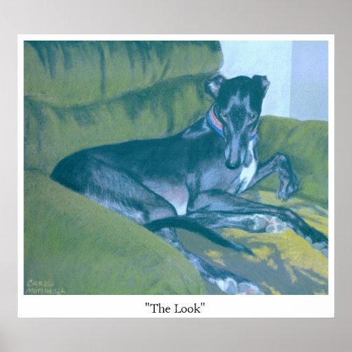 The Look Print