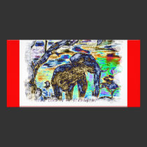 The Lord is my strength Colourful Elephant photo cards