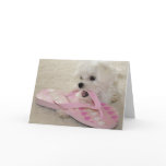 The love of shoes cards