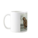 The lying Cat mugs