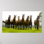 The Magnificent Seven