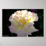 The Maiden posters