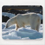 The majestic Polar bear in Svalbard Mouse Pads