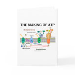 The Making Of ATP (Light-Dependent Photosynthesis) cards