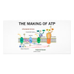The Making Of ATP (Light-Dependent Photosynthesis) photo cards