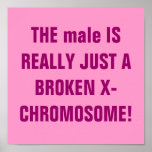 THE male IS REALLY JUST A BROKEN X-CHROMOSOME! posters