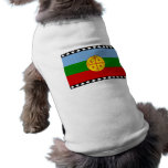 the Mapuches, Chile pet clothing