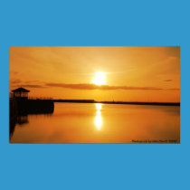 The Marina, Photograph by Mike Davitt "2008" posters