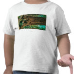 The Mariposa Big Tree Grove, Yosemite t-shirts
