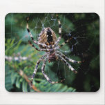 The Master Web Designer mousepads