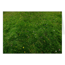 The Meadow Greeting Card