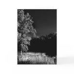 The Meadow Greeting Card