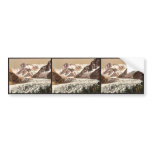 The Mer de Glace, Aiguille du Geant and Les Grande bumper stickers