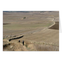The Meseta Card cards