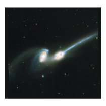 The Mice Galaxies NGC 4676 Colliding and Merging Photograph