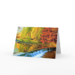 THE MIRACLE OF AUTUMN GREETING CARDS