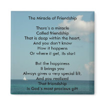 The Miracle of Friendship Magnets