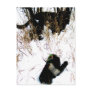The Mitten Ukrainian Folk Tale Postcards