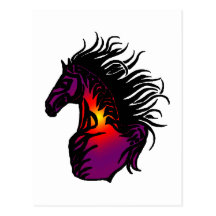 THE MOJAVE HORSE POST CARD
