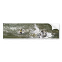 The Moment bumper stickers
