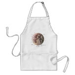 the moon apron