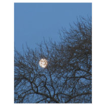 The moon custom flyer