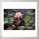 The More I Can Love the World... Print