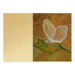 The Moth Business Card Template