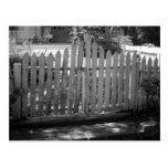 The Myrtles Post Card