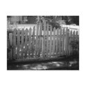 The Myrtles postcards