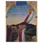 The Mystical Marriage Of St. Francis Of Assisi flyers