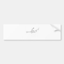 The Narwhal rider Bumper Sticker