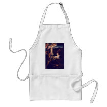 The Nativity By Correggio Apron