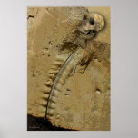 THE NEANDERTHAL posters