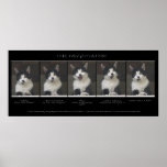 "THE NEGOTIATOR" Cat Print or Poster