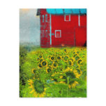 The Neighbours barn, postcard