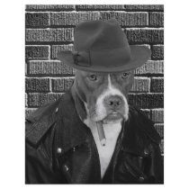 The new Dick Tracy