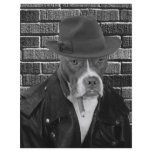 The new Dick Tracy flyers