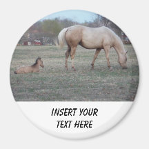 The Newcomer Magnet