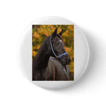 The Noble Arabian Buttons