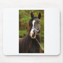 The Noble Arabian Mousepad